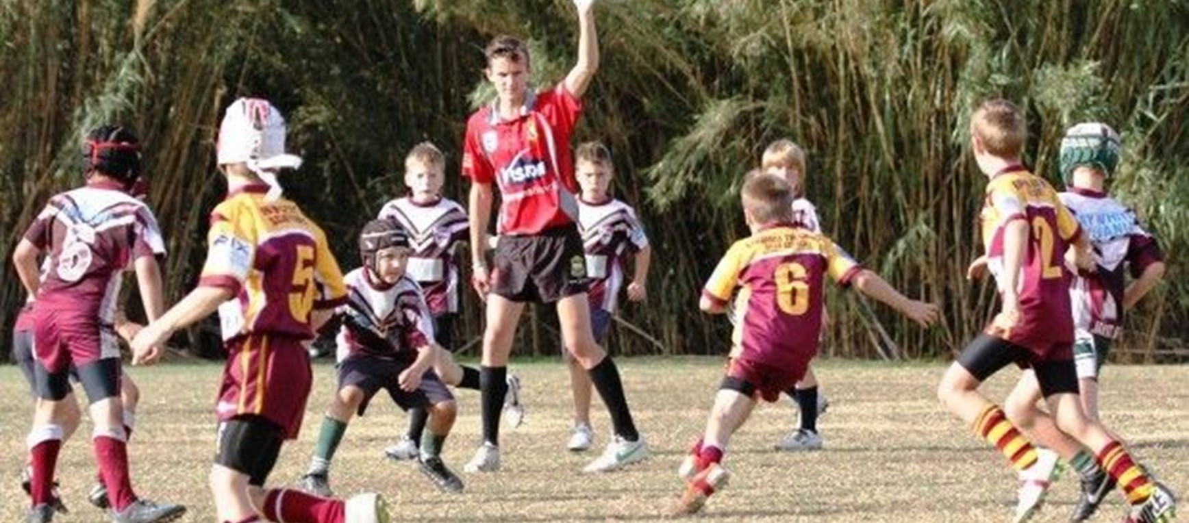 Sharks Primary Schools Knockout