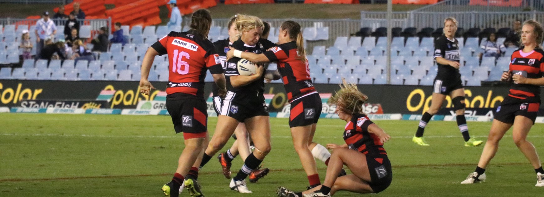 Clinical Sharks girls too strong for the Bears