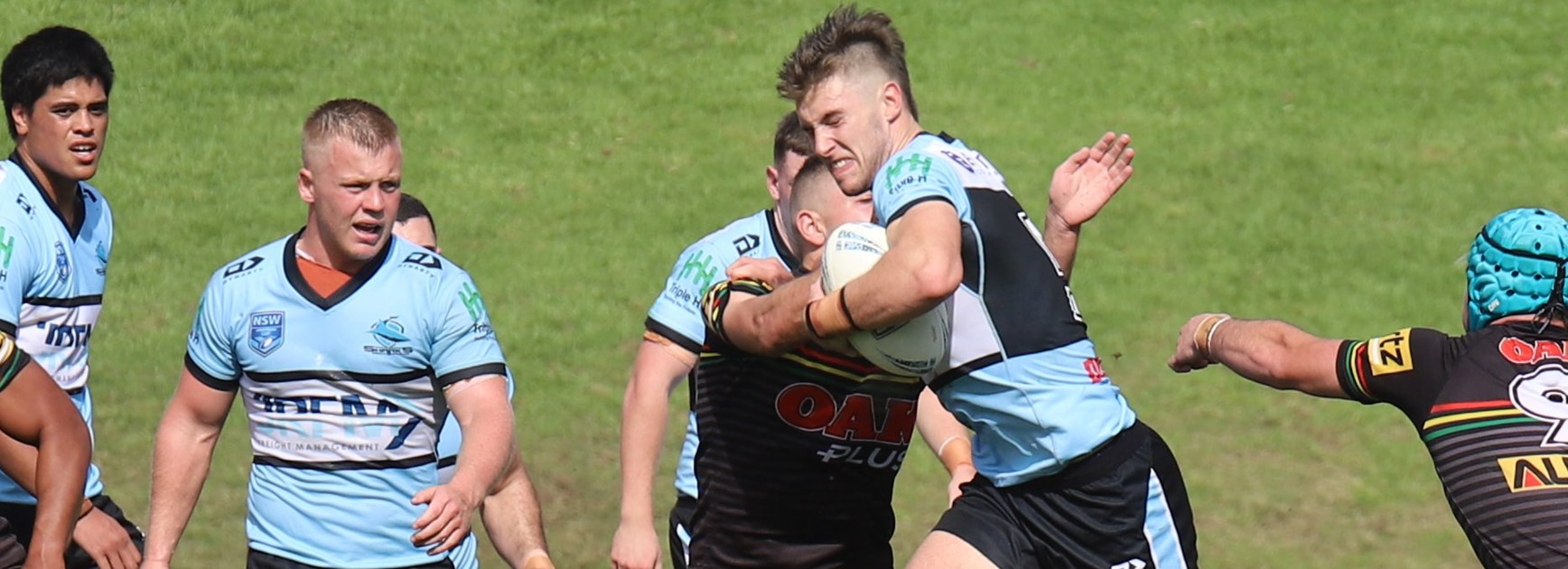 Flegg Sharks draw the ladder-leaders