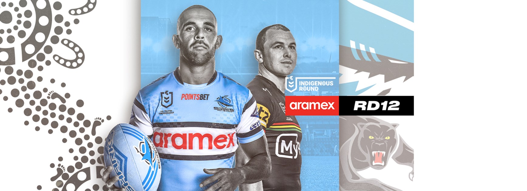 NRL Match Preview: Round 12 v Panthers