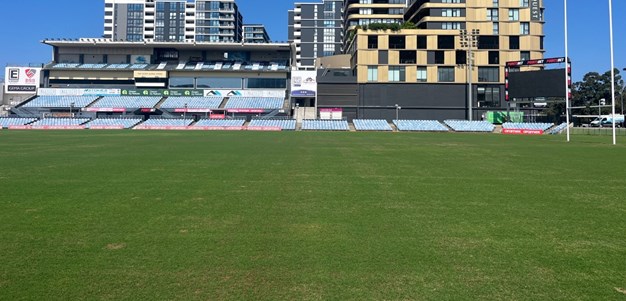 Grass is greener at Sharks Stadium after turf renovation