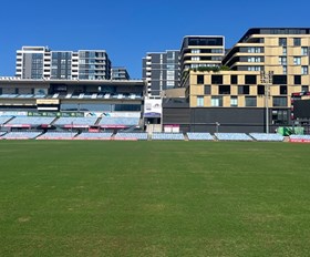 Grass is greener at Sharks Stadium after turf renovation