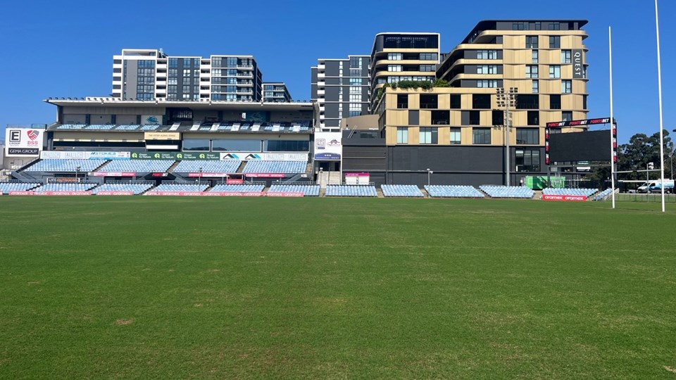 Grass is greener at Sharks Stadium after turf renovation