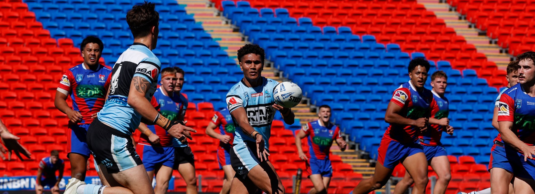 Sharks snatch last-gasp Flegg win over Knights