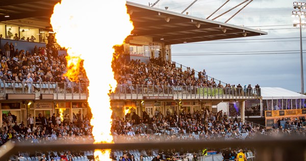 2023 Membership Renewals Now Open | Sharks
